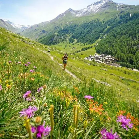 Grepon 3a - A Haven Apartament Chamonix